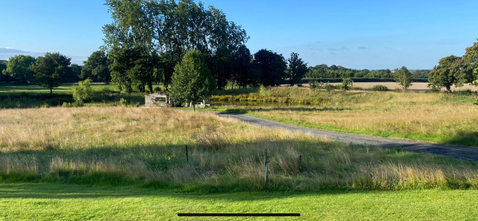 Beck Hill Cottage In Brandsby York Eksteriør billede
